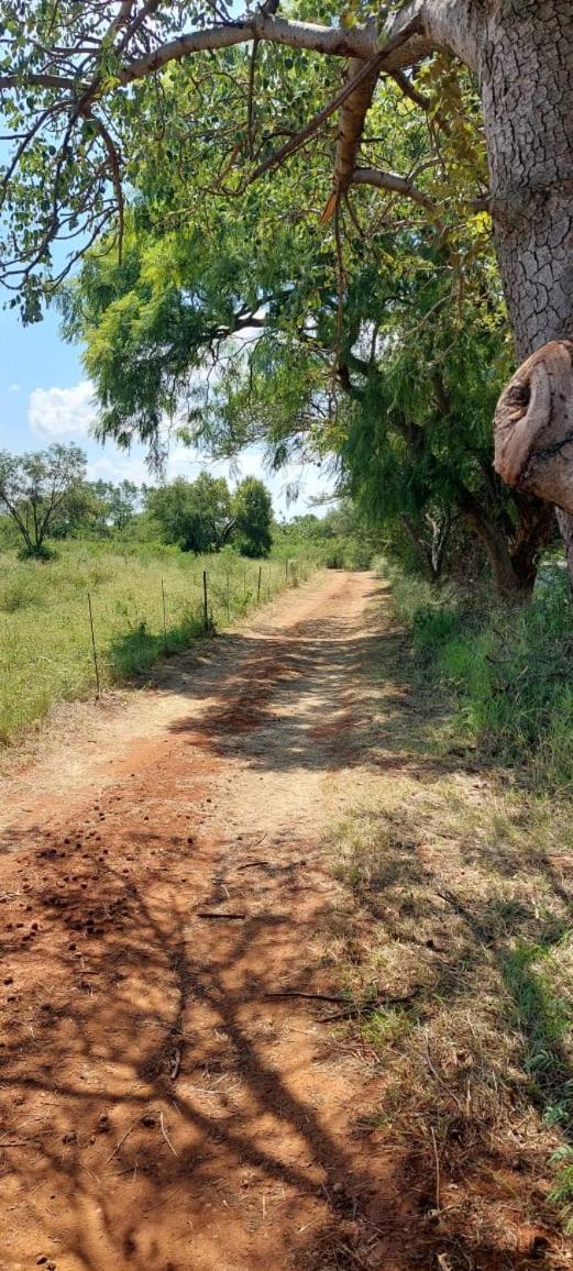 Hartbeest Bush Lodge 4 Hartbeespoort Ngoại thất bức ảnh